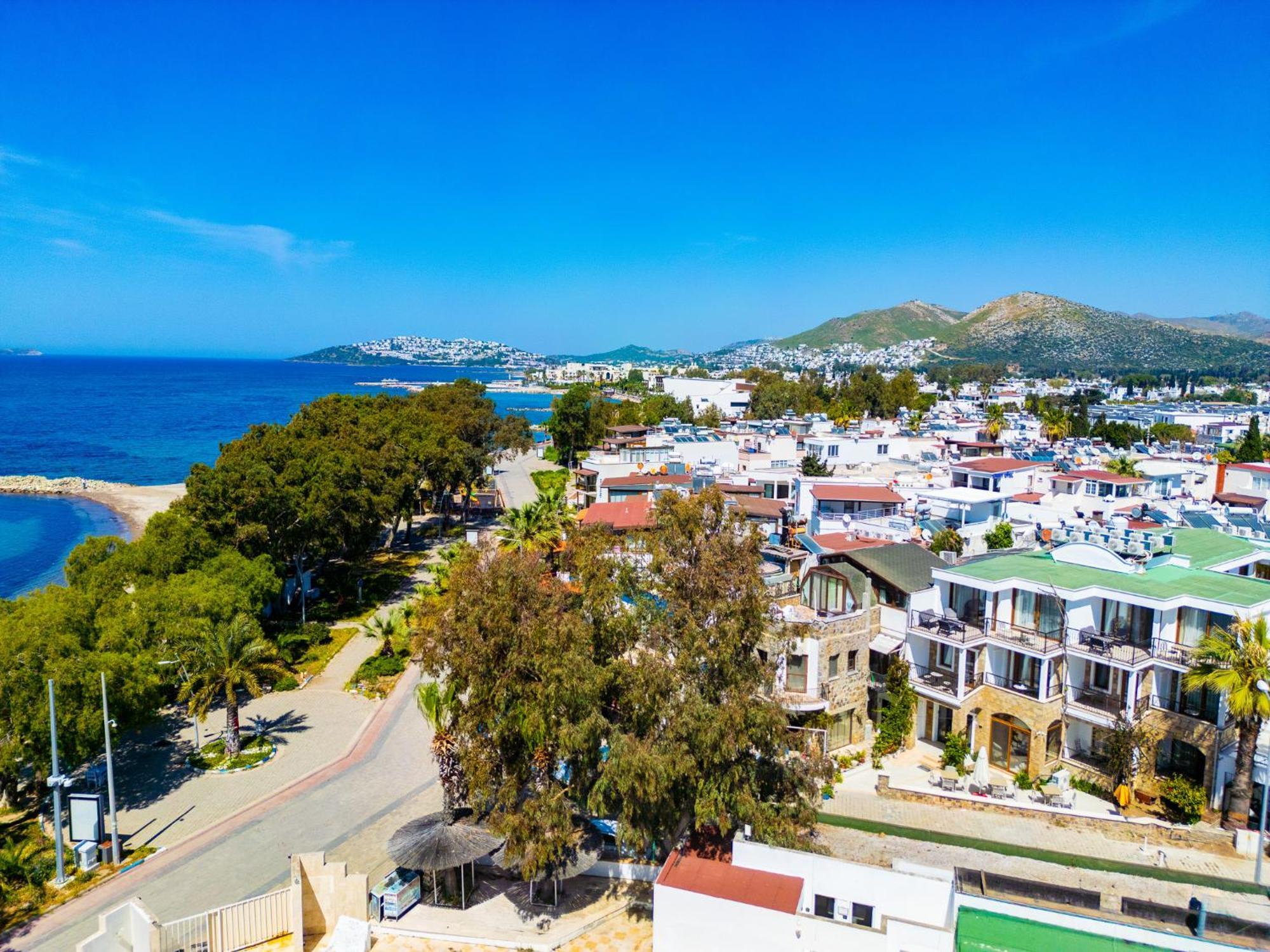 Asterina Hotel Turgutreis Εξωτερικό φωτογραφία